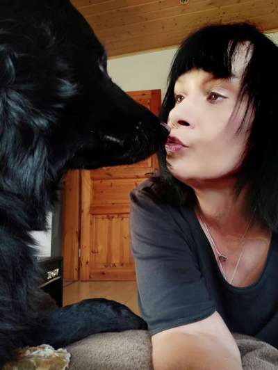 98.Fotochallange  - Hunde zeigen Zuneigung-Beitrag-Bild