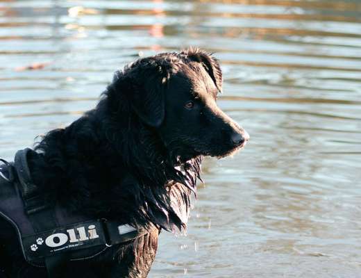 Foto Challenge Nr.133-Beitrag-Bild