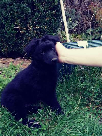 Sie werden so schnell erwachsen ...-Beitrag-Bild