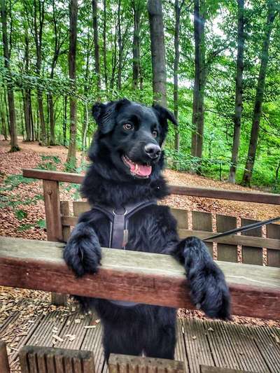 Foto Challenge Thema "Brücke"-Beitrag-Bild