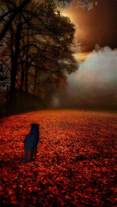 Photoshop und Co.-Beitrag-Bild