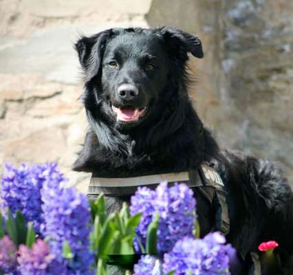 Fotochallenge 78

Es grünt und blüht-Beitrag-Bild