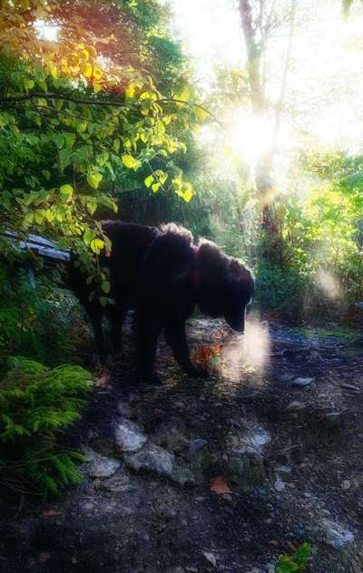 Farben Fotochallenge Sonnenlicht-Beitrag-Bild