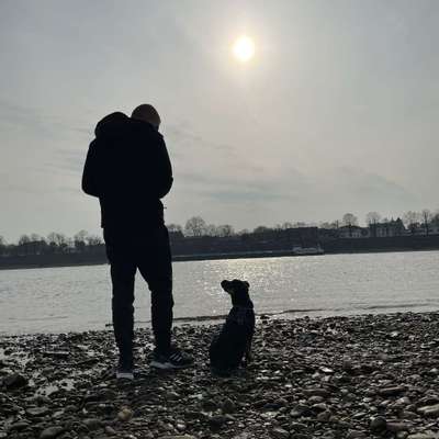 Hundetreffen-Treffen zum Laufen und Spielen-Profilbild