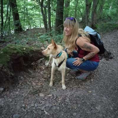 Hundetreffen-Gemütliche Gassirunde im Eichwald Müllheim-Bild