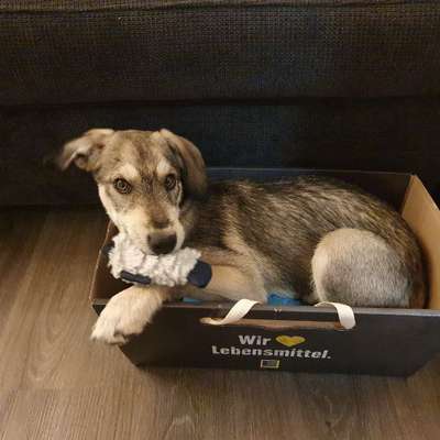 Foto Challenge 3-Beitrag-Bild