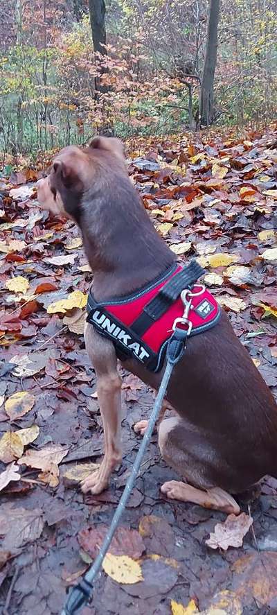 Fotowettbewerb Natur-Beitrag-Bild