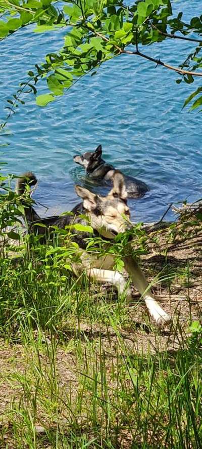 Fotochallange 84-Beitrag-Bild