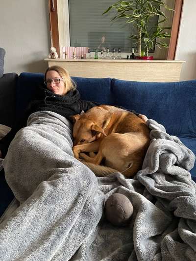 Welchen Hund hast du?-Beitrag-Bild