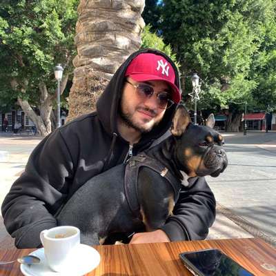 Hundetreffen-Spieltreffen-Bild