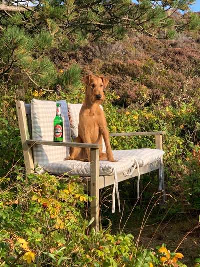 Seltene Rassen!-Beitrag-Bild