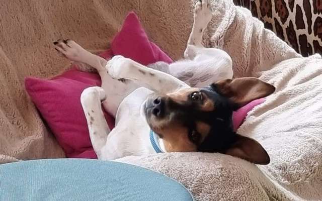 Gibt es Namens-Verwandte-Beitrag-Bild