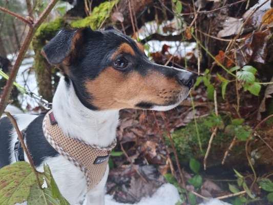 Foto Challenge Nr. 79-Beitrag-Bild