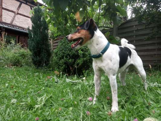 Foto-Challange No.1 - Alles aber nicht die Kamera-Beitrag-Bild