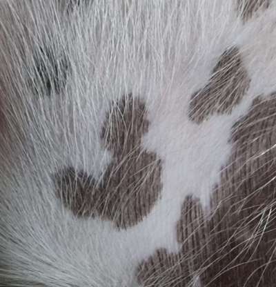 3. Ein besonderes Merkmal-Beitrag-Bild