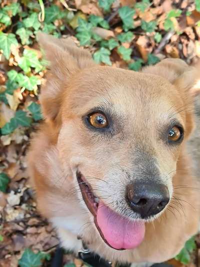 Lieblingsbild :D-Beitrag-Bild