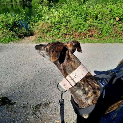 Therese's Profilbild