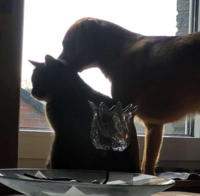 120. Fotochallenge-Beitrag-Bild