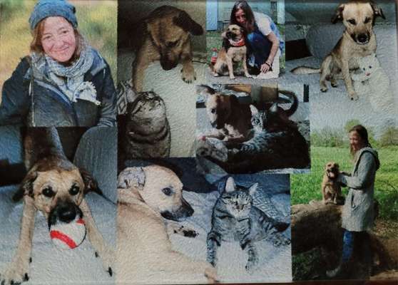 23. Collagen-Challenge: Portraits-Beitrag-Bild