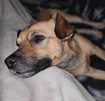 23. Collagen-Challenge: Portraits-Beitrag-Bild