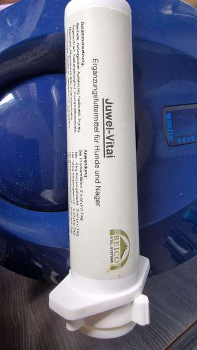 Französische Bulldoggen-Beitrag-Bild