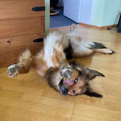 Tongue Out Tuesday-Beitrag-Bild