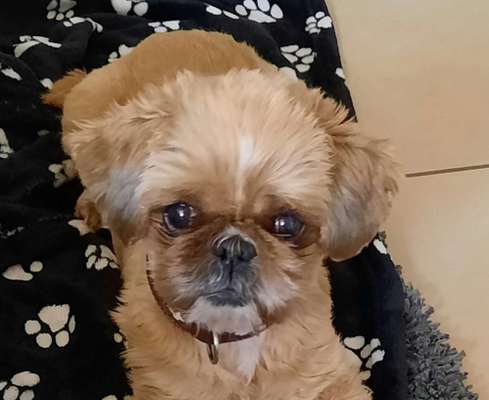 Fotochallange Nr. 57     PORTRÄT.   Beendet!!!!!!!!-Beitrag-Bild