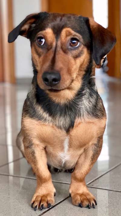 Fotochallenge Nr. 67: Euer Lieblingsbild-Beitrag-Bild