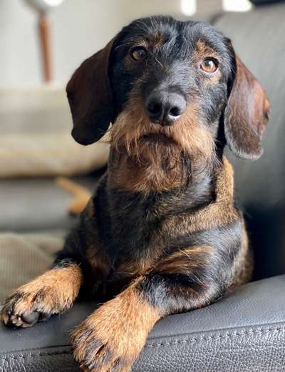 Fotochallenge Nr. 67: Euer Lieblingsbild-Beitrag-Bild