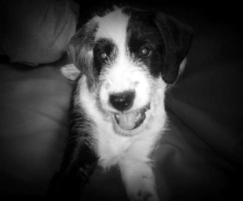 Lieblingsbild :D-Beitrag-Bild