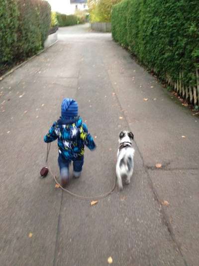 Dogorama Photo Challenge - an der Leine-Beitrag-Bild