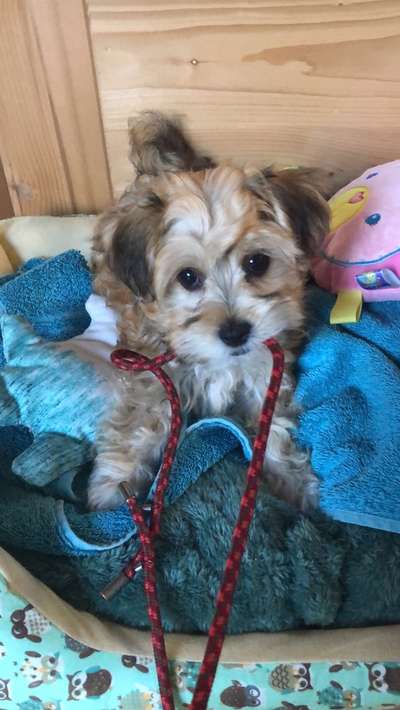 Sie werden so schnell erwachsen ...-Beitrag-Bild