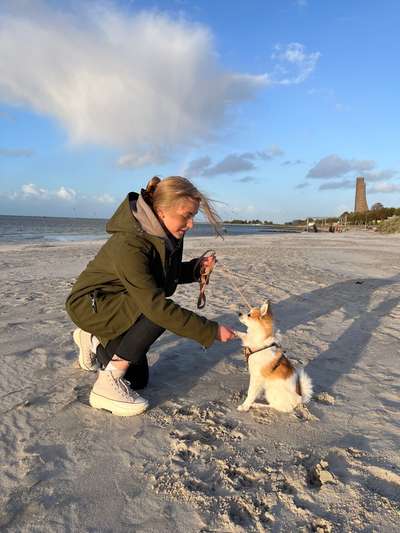 Hundetreffen-Kleiner Lachs sucht Freunde 🐾-Bild