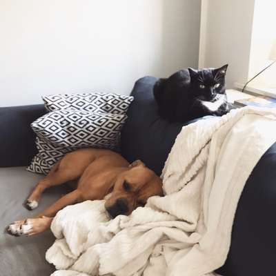 CHALLENGE Nr.17-Beitrag-Bild