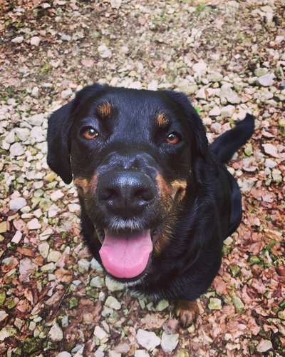 Fotochallange 84-Beitrag-Bild