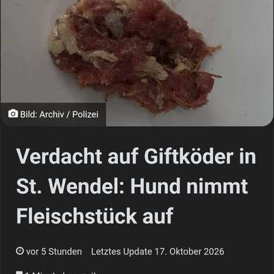 Giftköder-Verdacht auf Giftköder-Bild