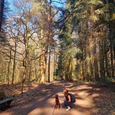 Hundetreffen-Hundetreff - Dorsten Lembeck