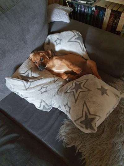 Lieblingsbild :D-Beitrag-Bild