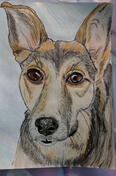 Ich zeichne deine Fellnase-Beitrag-Bild