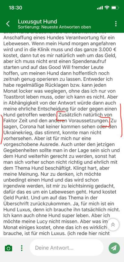 Luxusgut Hund-Beitrag-Bild