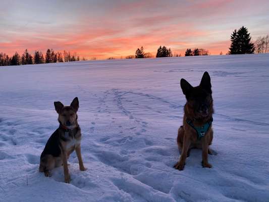 Tolle Begegnungen-Beitrag-Bild