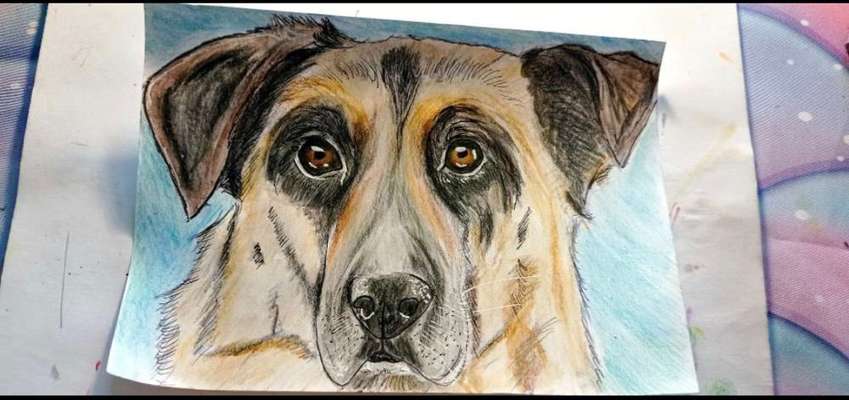 Ich zeichne deine Fellnase-Beitrag-Bild