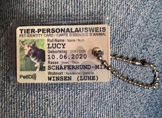 Hunderegister Berlin-Beitrag-Bild