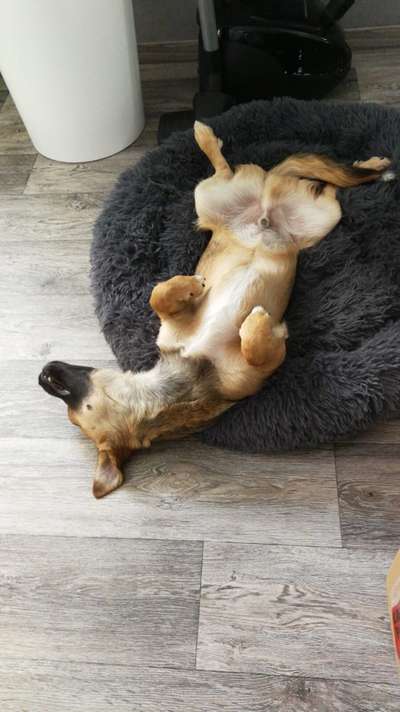 CHALLENGE NR. 34 - Liege-/Schlafpositionen-Beitrag-Bild