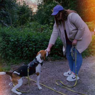 Hundetreffen-Treffen zum Spielen ☺️ 🐶 🐕