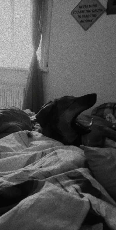 Foto-Challenge 76: Foto in Schwarz-Weiss-Beitrag-Bild