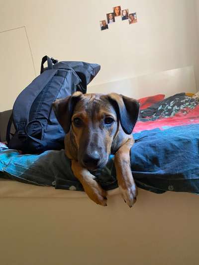 Fotochallange Nr. 57     PORTRÄT.   Beendet!!!!!!!!-Beitrag-Bild