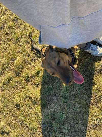 Fotochallenge Nr. 67: Euer Lieblingsbild-Beitrag-Bild