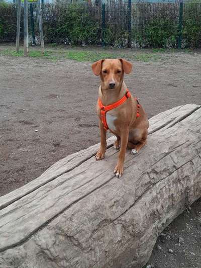 Fotochallenge Nr. 67: Euer Lieblingsbild-Beitrag-Bild