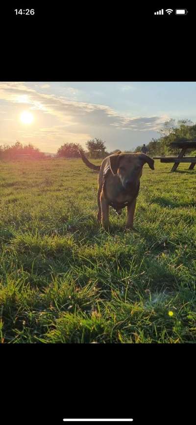 Lieblingsbild-Beitrag-Bild